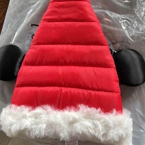 Mickey Santa Hat